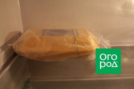 Стратификация семян многолетников &ndash; кому сколько нужно